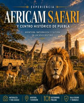 2427 – AFRICAM SAFARI