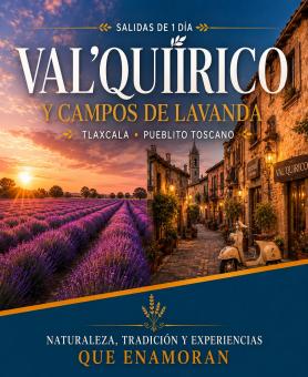 2432 - VALQUÍRICO Y CAMPOS DE LAVANDA